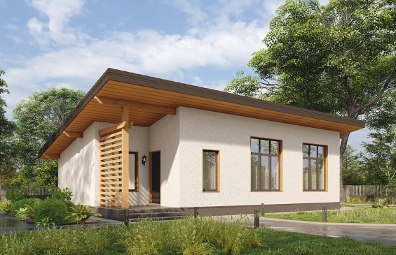 Rg6540 - Одноэтажный дом с двумя спальнями, парилкой и односкатной крышей.