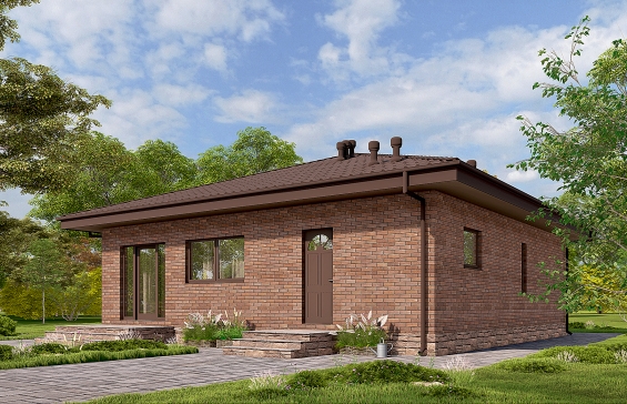 Одноэтажный дом с подвалом и верандой Rg6542 - Вид1