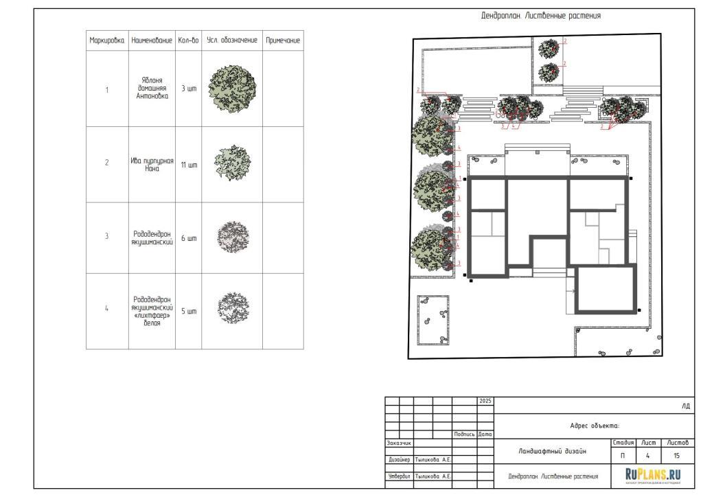 3. Дендроплан. Лиственные растения