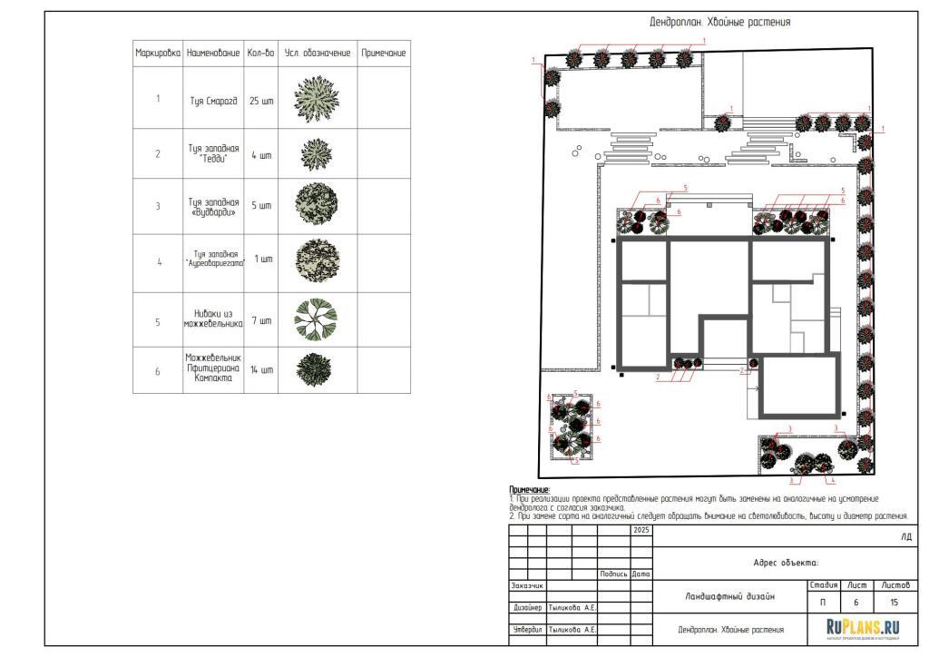5. Дендроплан. Хвойные растения